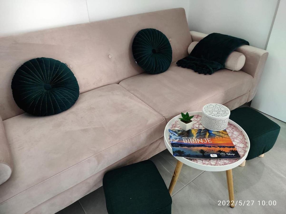 Apartman Mia 2 Bibinje بيبينيا المظهر الخارجي الصورة